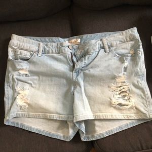 Torrid shorts